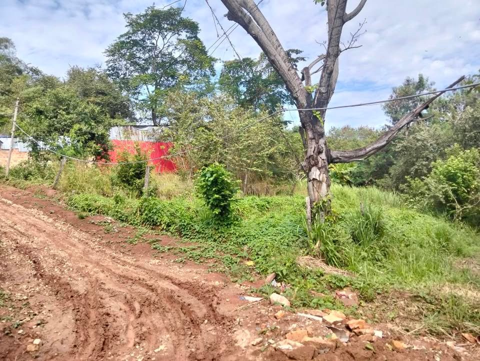 Lote en Morales, San Martín — foto 3