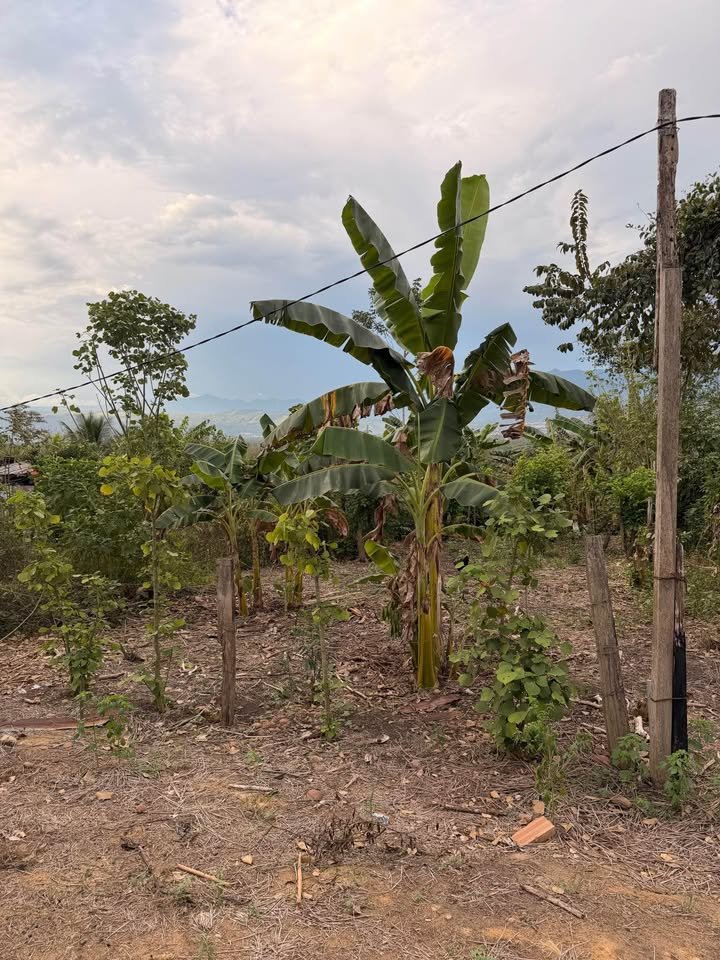 Lote en Tarapoto, San Martín — foto 2
