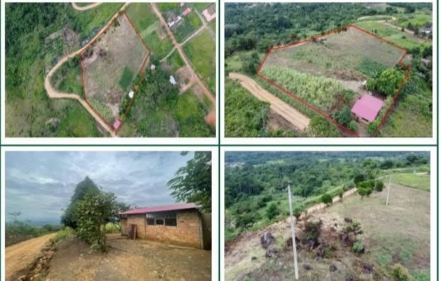 Terreno en Tarapoto, San Martín — foto 2