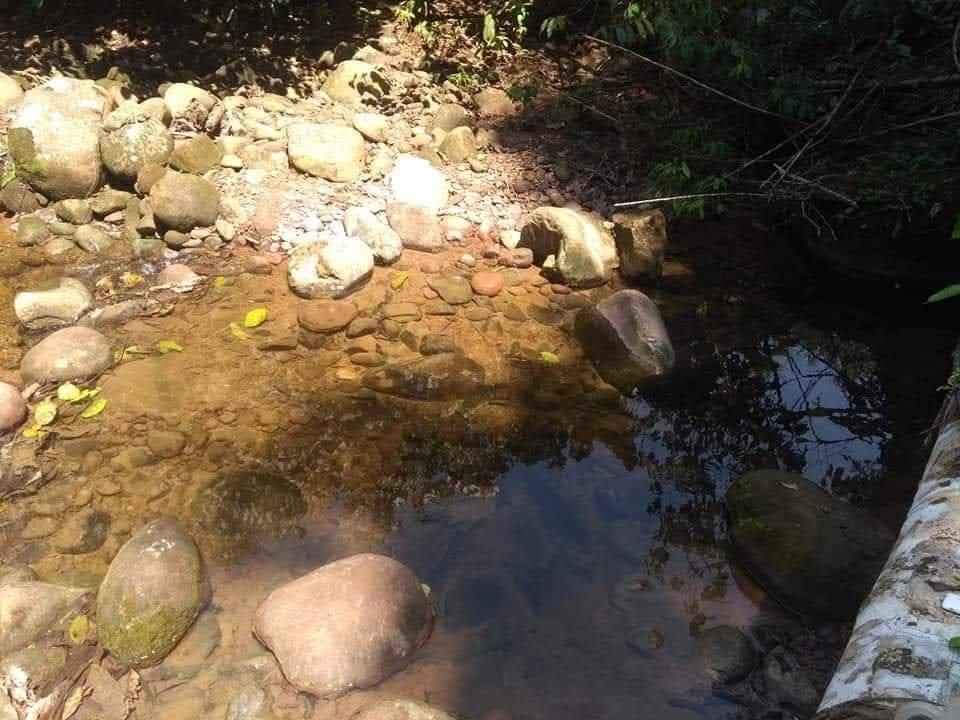 Chacra en Chazuta, San Martín — foto 3