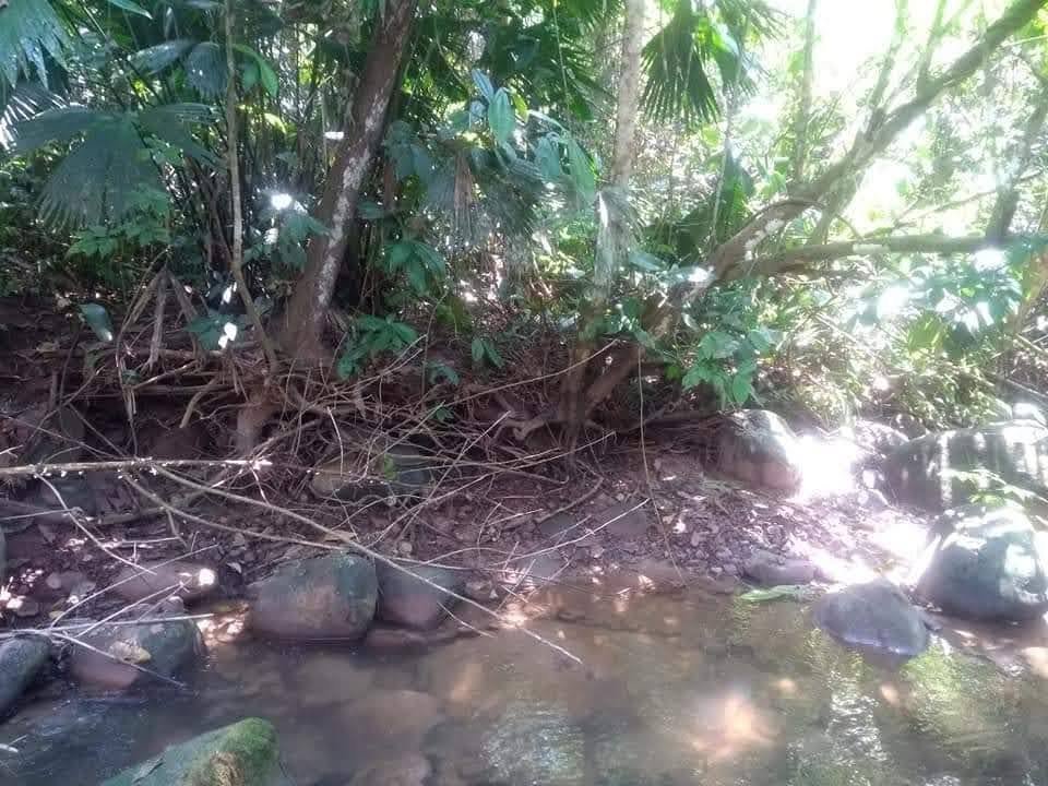 Chacra en Chazuta, San Martín — foto 4