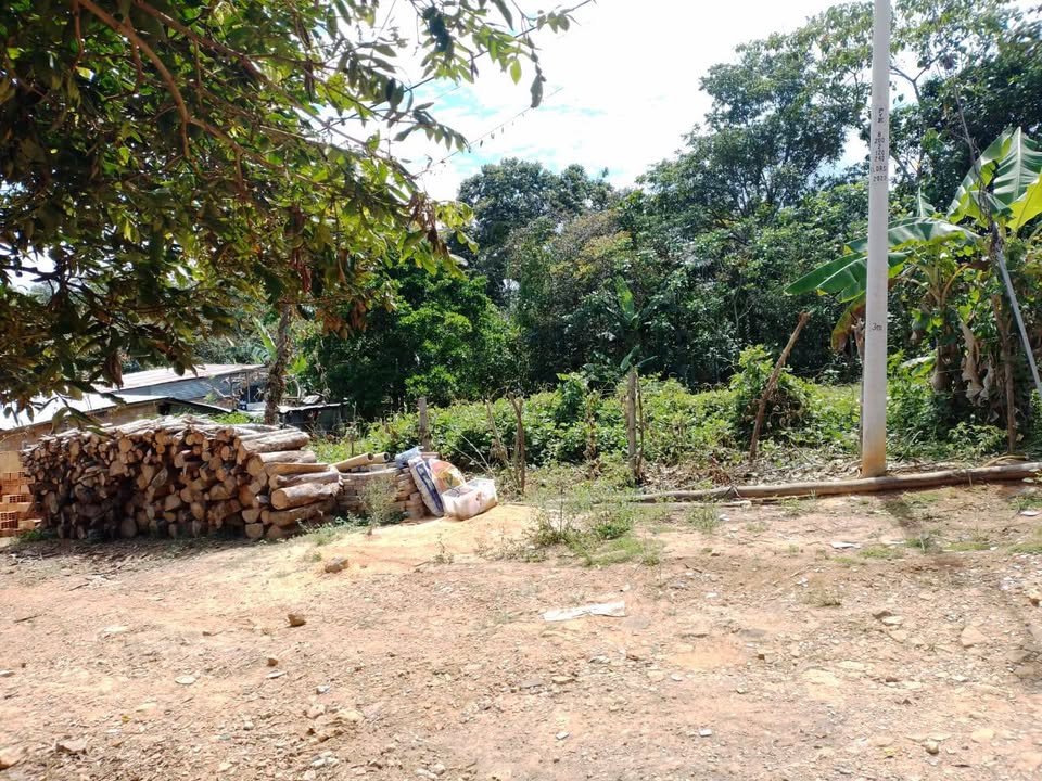 Lote en Lamas, San Martín — foto 2