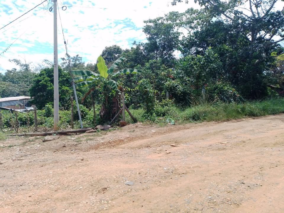 Lote en Lamas, San Martín — foto 3