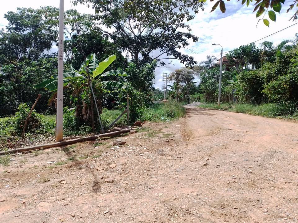 Lote en Lamas, San Martín — foto 4
