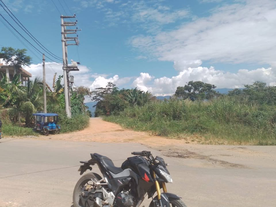 Lote en Lamas, San Martín — foto 6