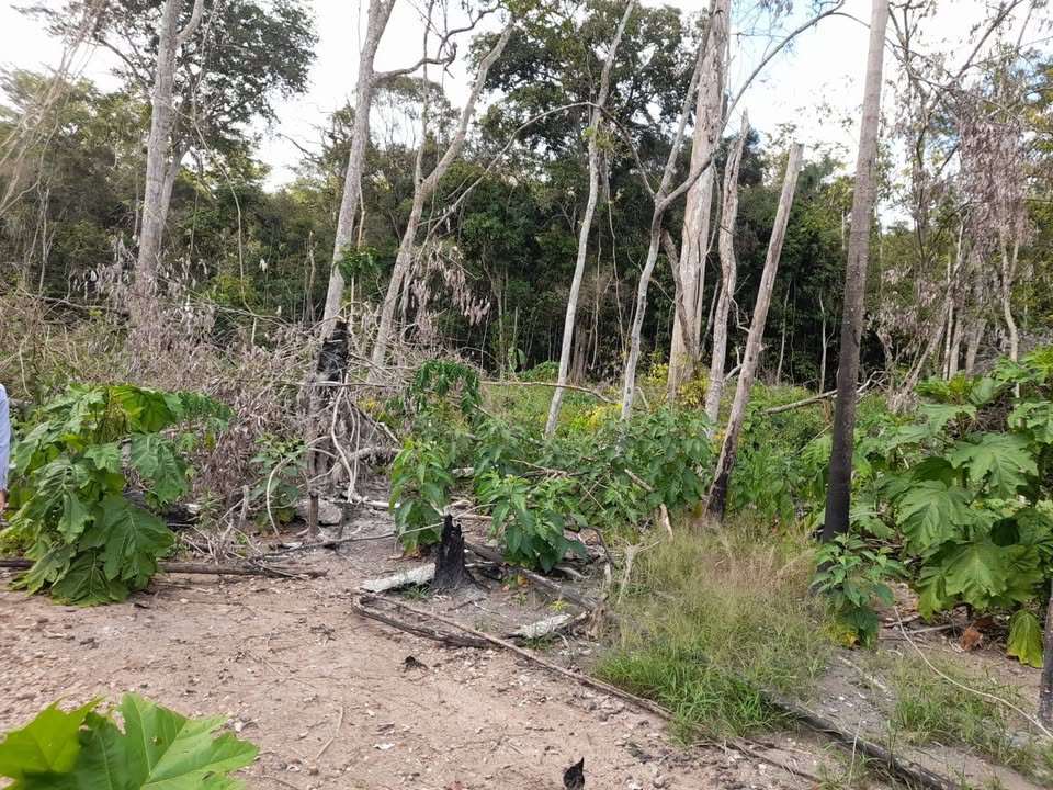 Terreno en Santa Elena (Bellavista) — foto 3