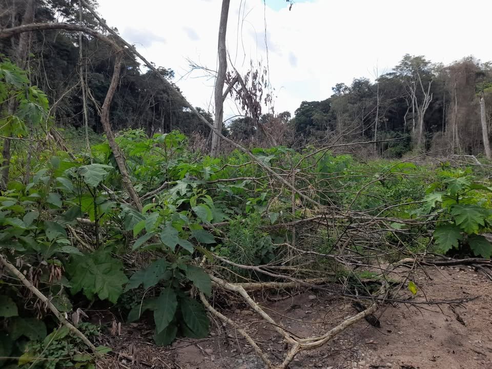 Terreno en Santa Elena (Bellavista) — foto 5