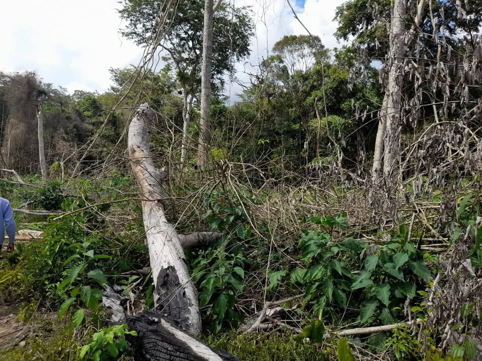 Terreno en Santa Elena (Bellavista) — foto 6