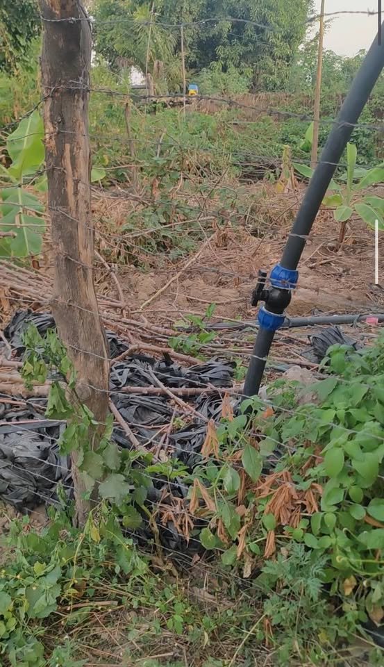 Lote en Motupe, Lambayeque — foto 5