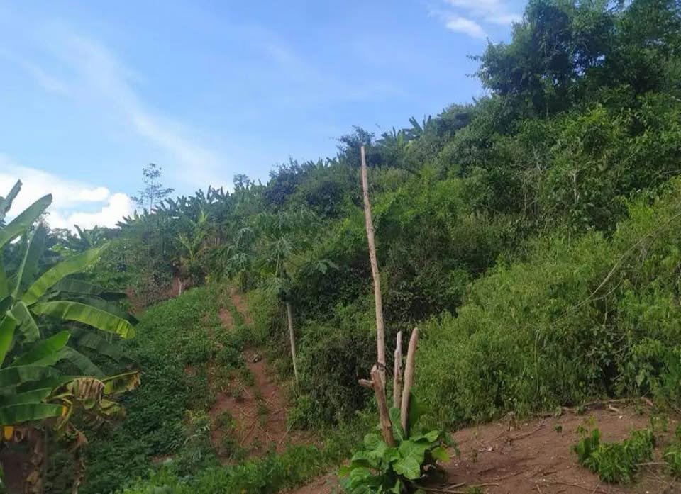 Chacra en Morales, San Martín — foto 5