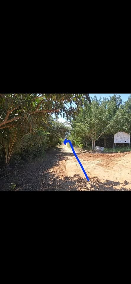 Terreno en Tarapoto, San Martín — foto 4
