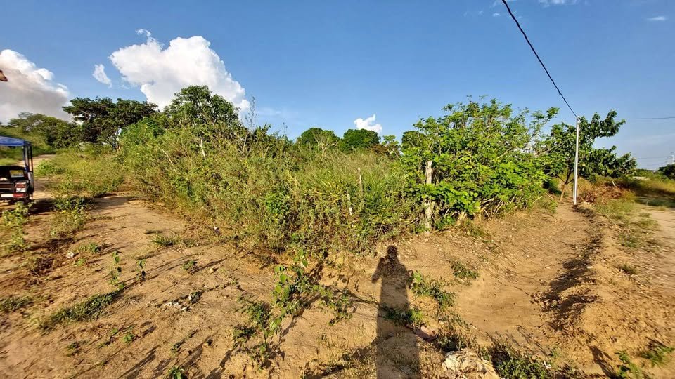 Terreno en Tarapoto, San Martín — foto 1