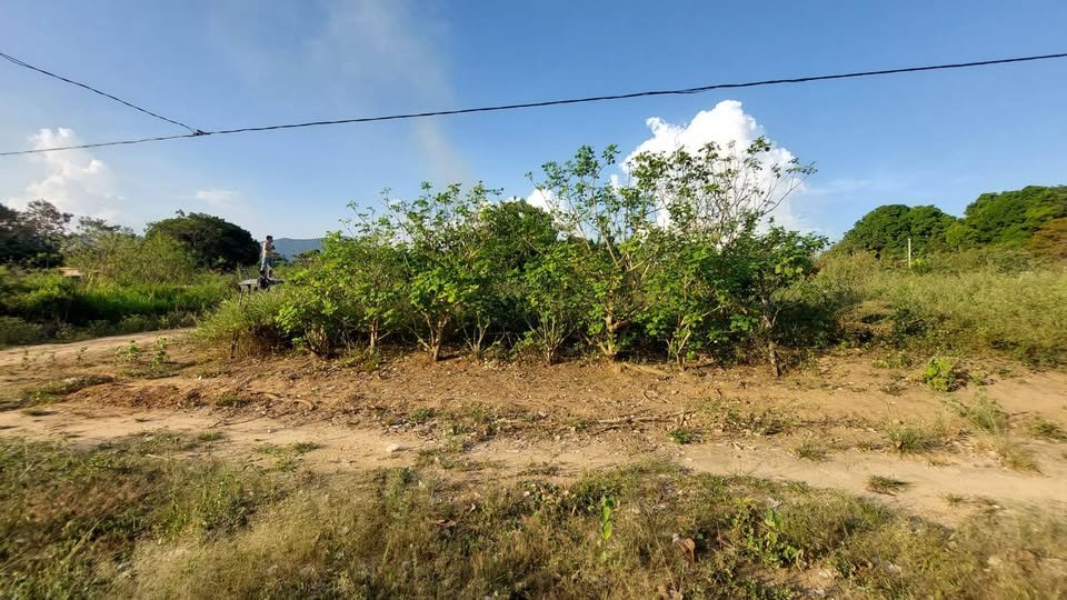 Terreno en Tarapoto, San Martín — foto 4