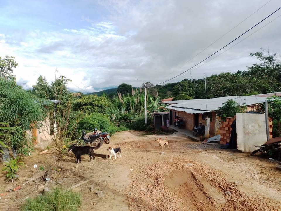 Lote en Lamas, San Martín — foto 3
