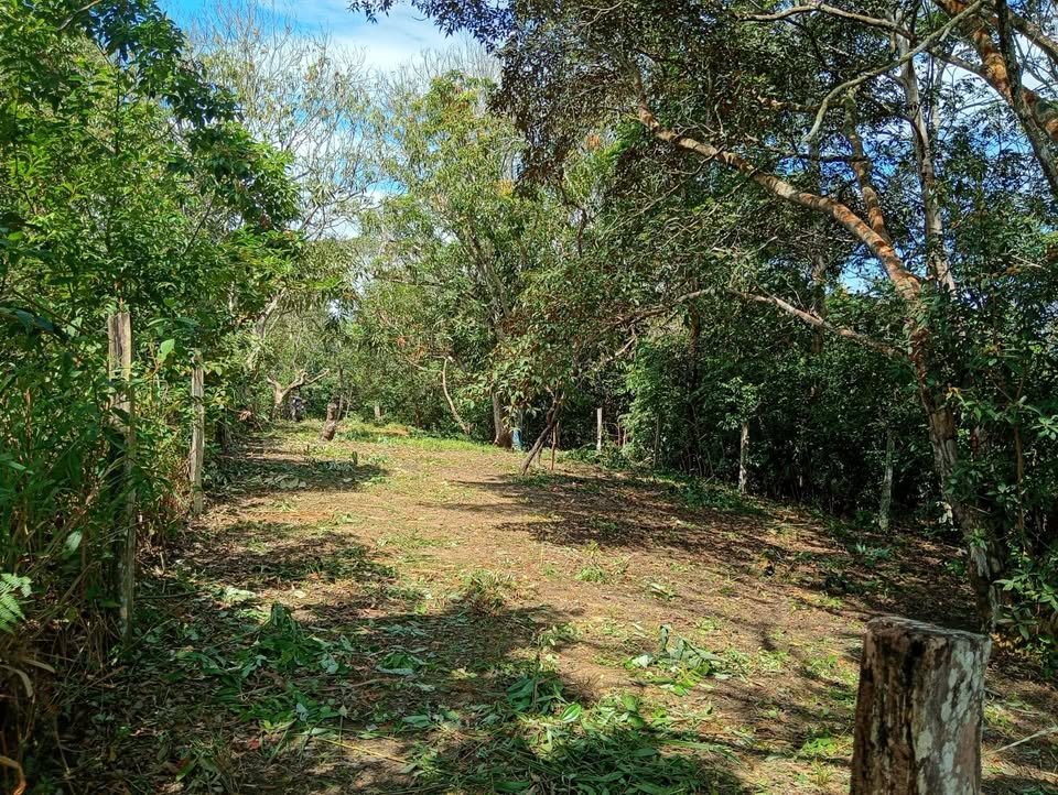 Terreno en Tarapoto, San Martín — foto 3