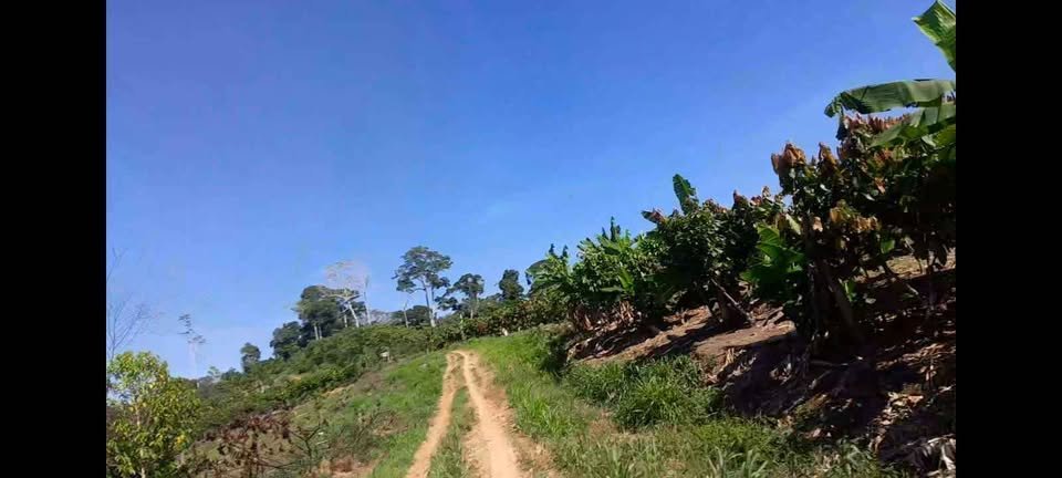 Terreno en Tarapoto, San Martín — foto 4