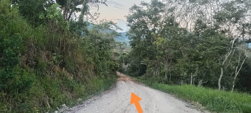 Lote en Moyobamba, San Martín — foto 5