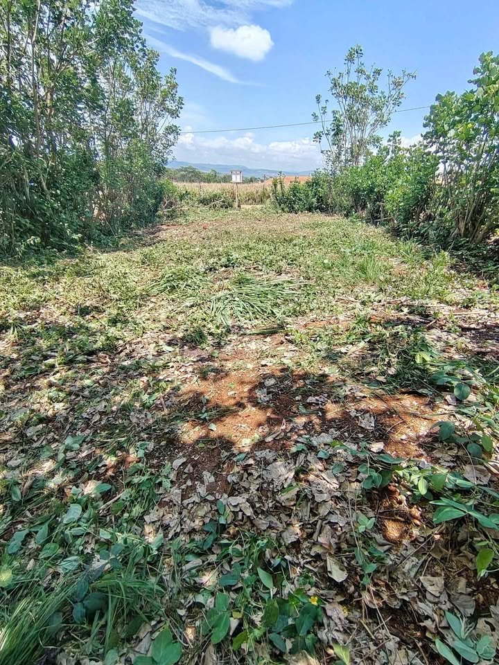 Terreno en La Banda de Shilcayo, San Martín — foto 1