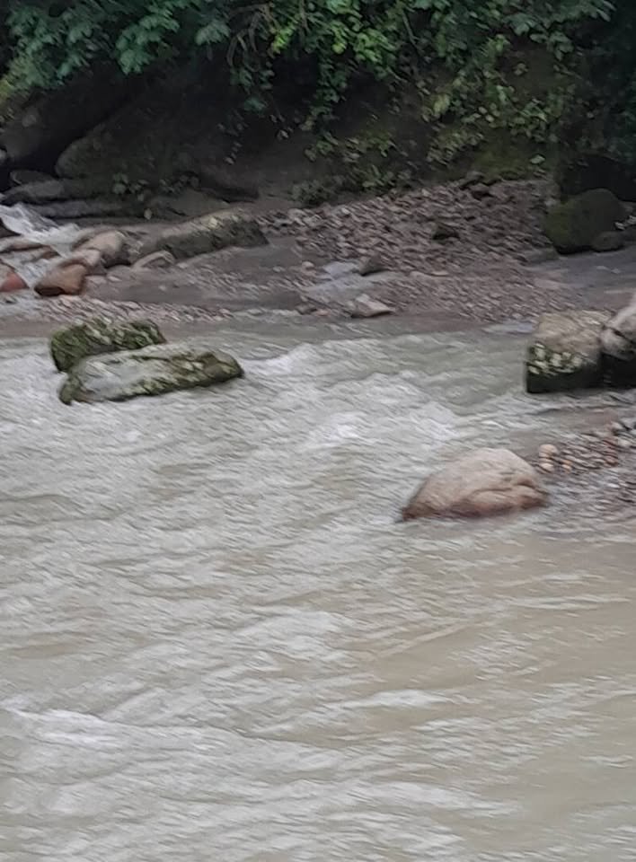 Terreno en Tarapoto, San Martín — foto 5