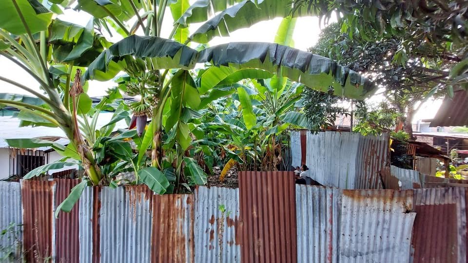 Terreno en Tarapoto, San Martín — foto 1