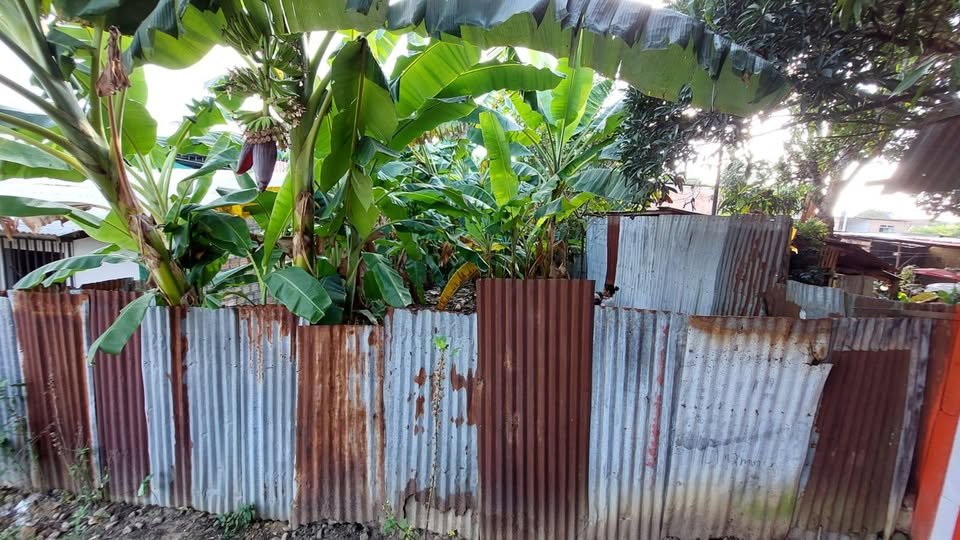 Terreno en Tarapoto, San Martín — foto 2