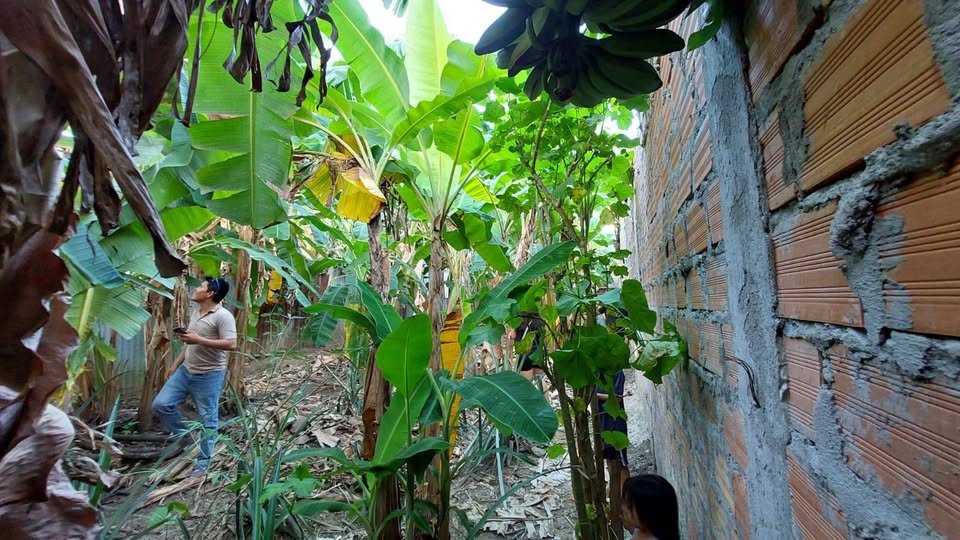 Terreno en Tarapoto, San Martín — foto 3