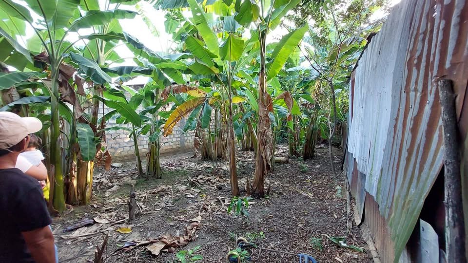 Terreno en Tarapoto, San Martín — foto 4