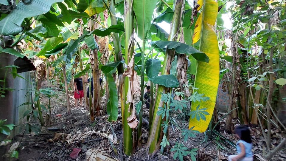 Terreno en Tarapoto, San Martín — foto 5