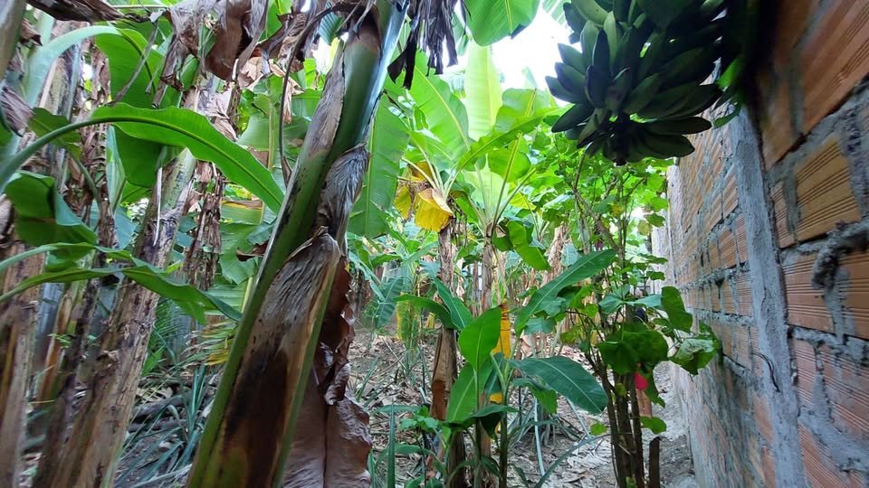 Terreno en Tarapoto, San Martín — foto 6