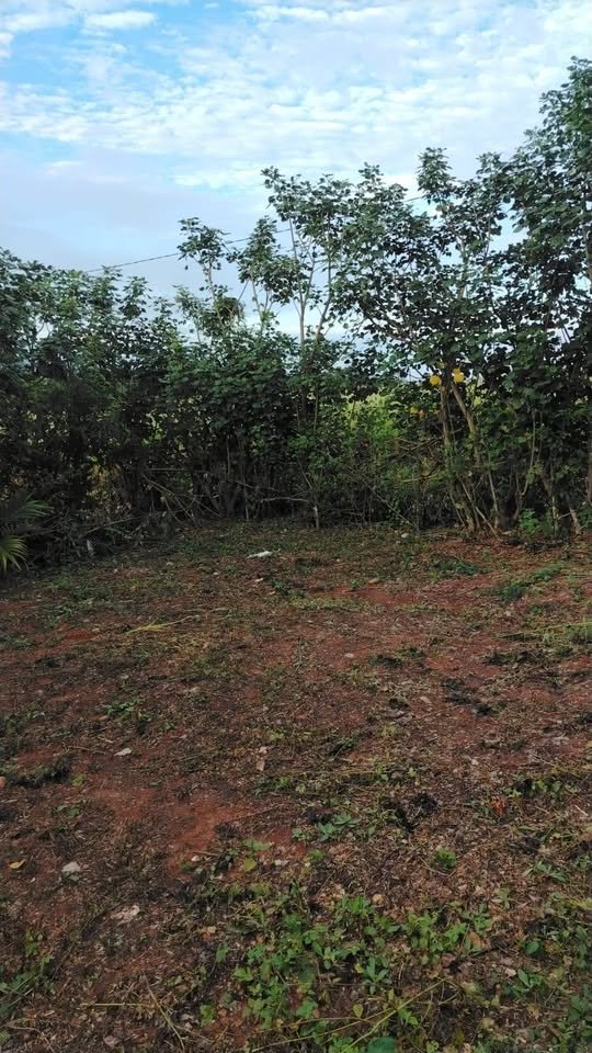 Lote en La Banda de Shilcayo, San Martín — foto 2