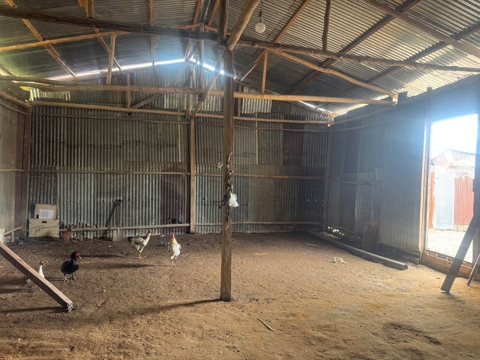 Casa con terreno en Iquitos, Loreto — foto 4