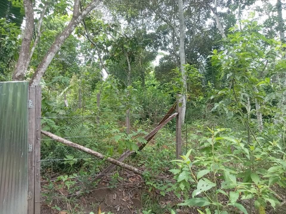 Lote en Tarapoto, San Martín — foto 5