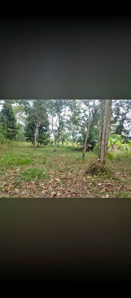 Lote en Sananguillo — foto 1