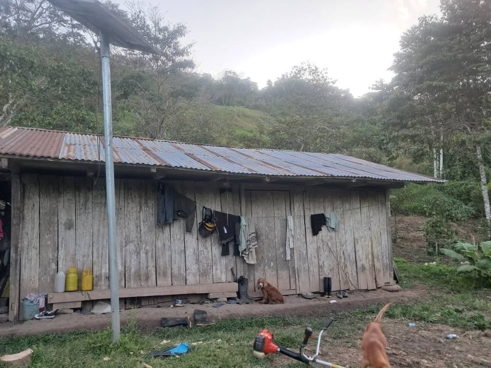 Chacra en San José de Sisa, San Martín — foto 2