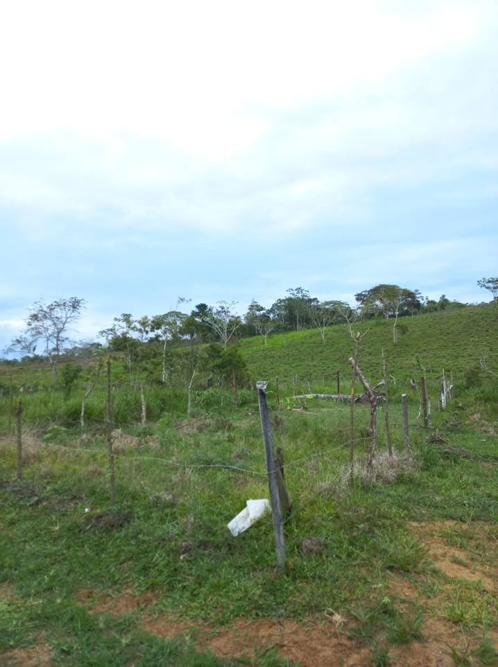 Lote en Moyobamba, San Martín — foto 3