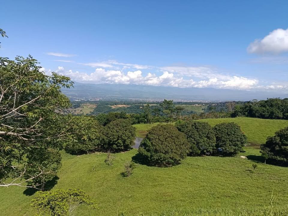 Terreno en Tarapoto, San Martín — foto 5