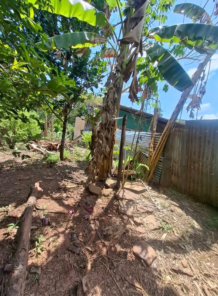 Chacra en Tarapoto, San Martín — foto 3