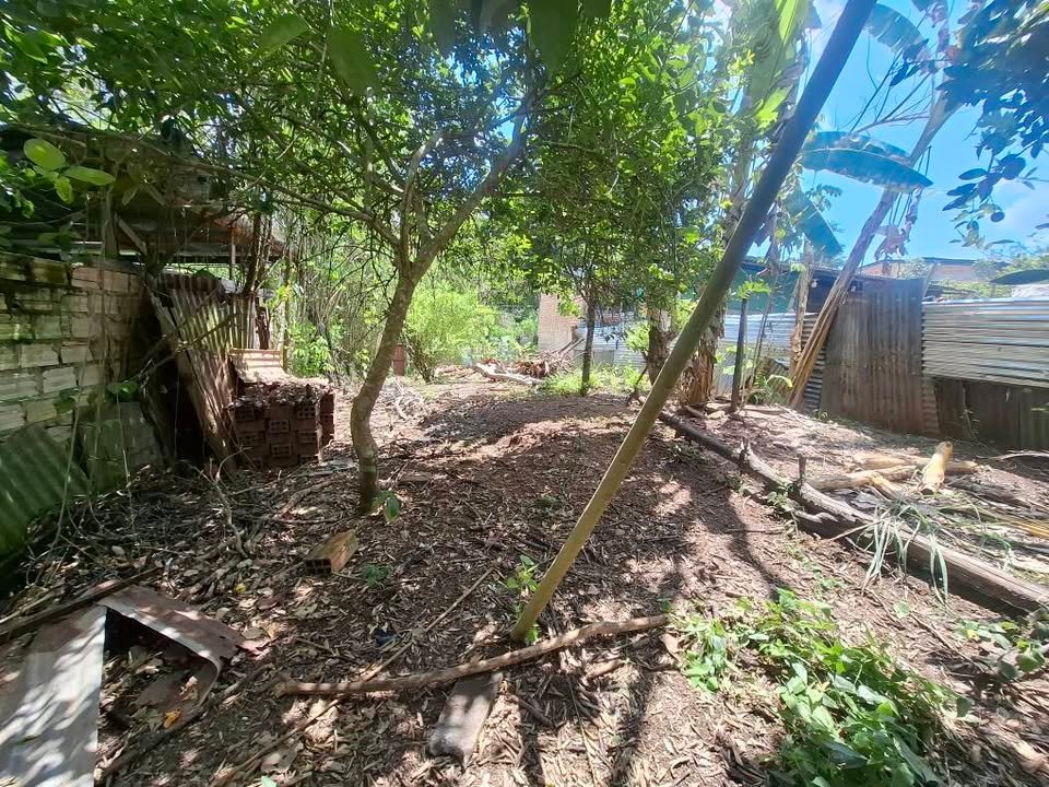 Chacra en Tarapoto, San Martín — foto 4