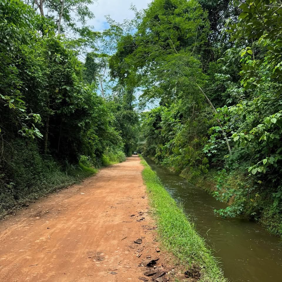 Terreno en Morales, San Martín — foto 4