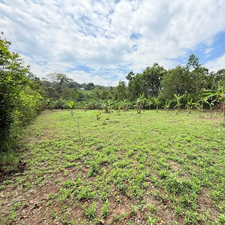 Terreno en Morales, San Martín — foto 6
