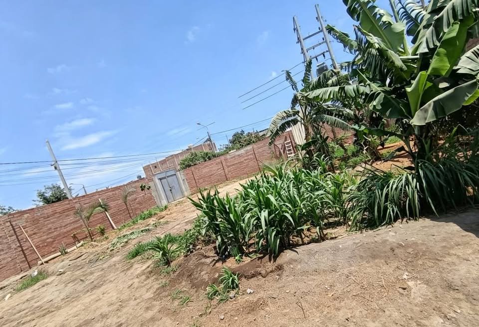 Lote en José Leonardo Ortiz, Lambayeque — foto 3
