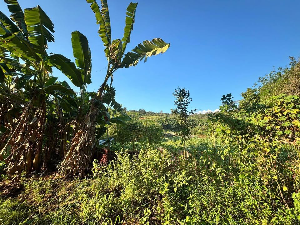 Lote en Tarapoto, San Martín — foto 4