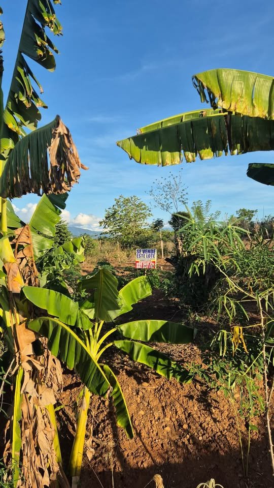 Lote en Tarapoto, San Martín — foto 3