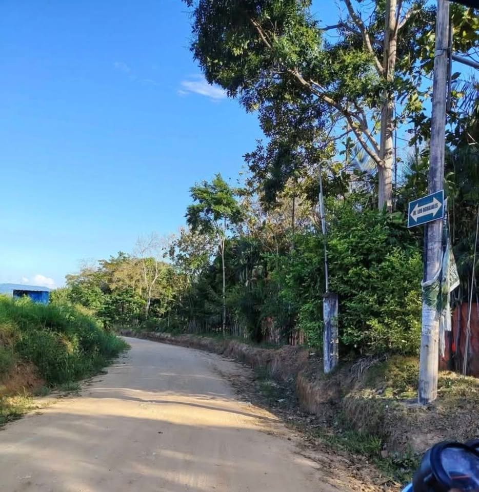 Lote en La Banda de Shilcayo — foto 2