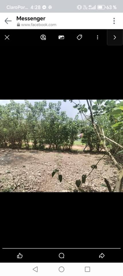 Lote en La Banda de Shilcayo — foto 4