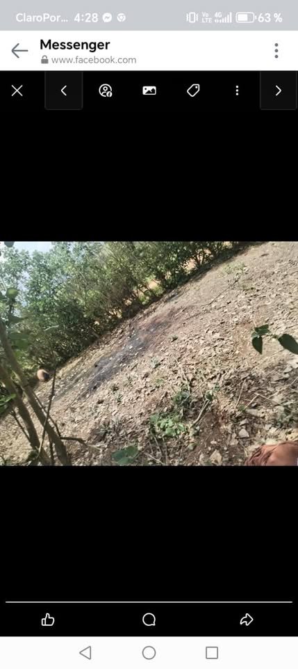 Lote en La Banda de Shilcayo — foto 5