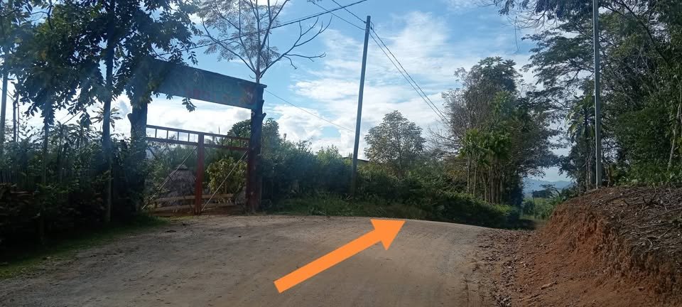 Lote en Moyobamba, San Martín — foto 4