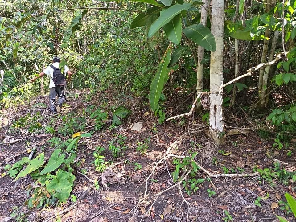 Terreno en Tarapoto, San Martín — foto 1
