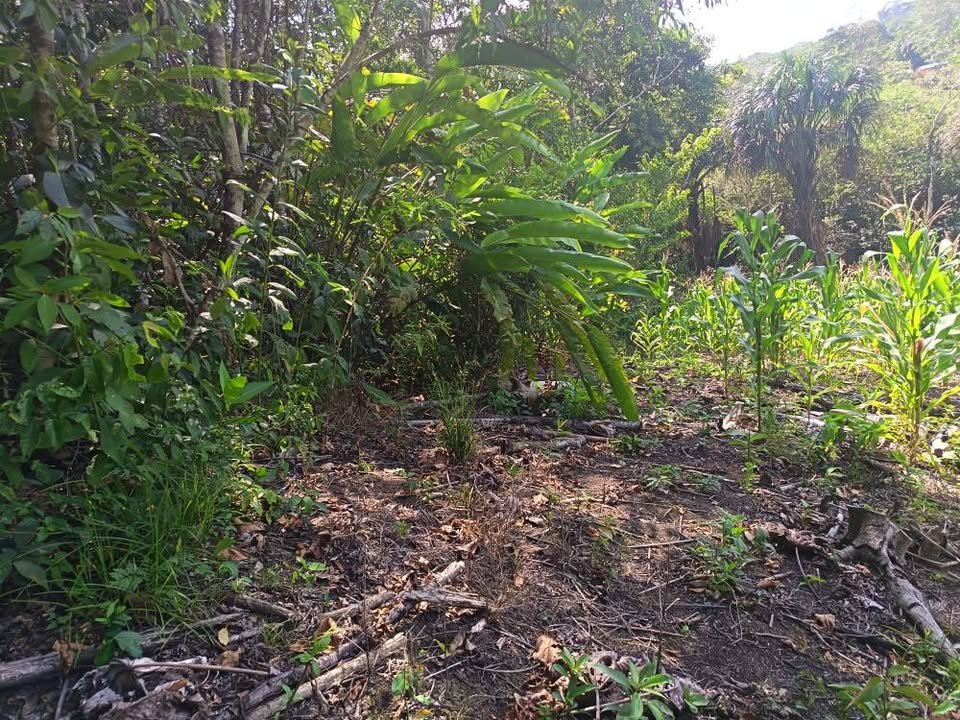 Terreno en Tarapoto, San Martín — foto 3