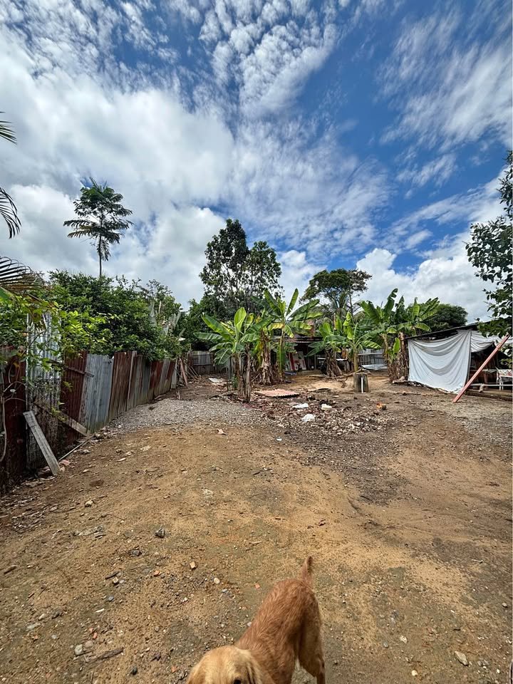 Terreno en San Pablo — foto 1